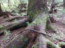 Filename=alaska033.jpg
Filesize=131KiB
Dimensions=576x432
Date added=Nov 03, 2015 alaska033.jpg