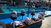 Filename=catalina-ensenada_046.jpg
Filesize=357KiB
Dimensions=1872x1053
Date added=Jun 13, 2017 catalina-ensenada_046.jpg