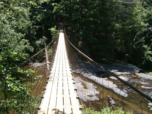 Fall Creek Falls State Park suspension bridge
