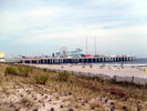Filename=Jersey021.jpg
Filesize=40KiB
Dimensions=576x432
Date added=Oct 20, 2008 Jersey021.jpg
