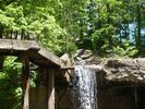 Filename=PigeonForge186.jpg
Filesize=114KiB
Dimensions=576x432
Date added=May 19, 2009 PigeonForge186.jpg