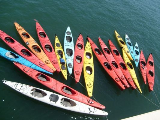 Rental Kayaks

