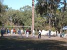Filename=ZephyrHills001.jpg
Filesize=99KiB
Dimensions=576x432
Date added=Feb 09, 2009 ZephyrHills001.jpg