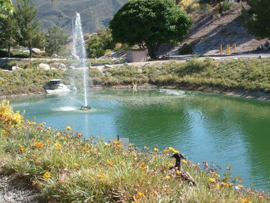 Ponds and water fountains
