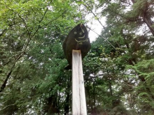 Fish story? It was how big?
