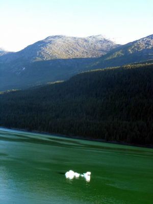 Ice!
We got blocked out of Tracy Arm Fjord by ice. Had to go to Endicott Fjord instead.
