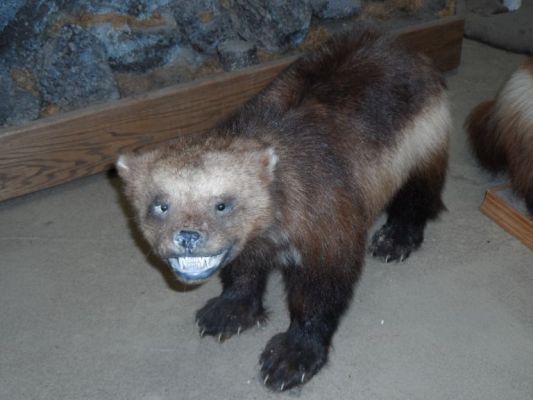 I never trust anyone that smiles like that
