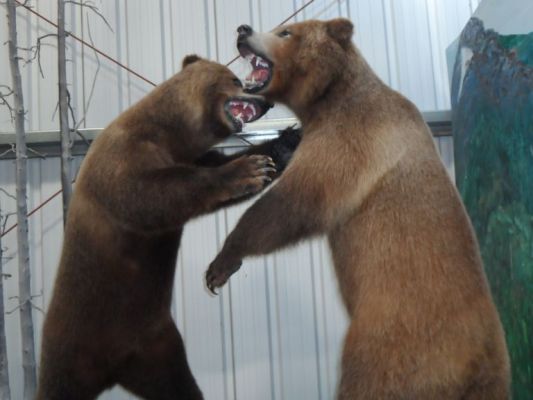 "I saw the humans first. That's MY lunch!"
