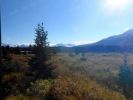 Filename=alaska219.jpg
Filesize=47KiB
Dimensions=768x576
Date added=Nov 03, 2015 alaska219.jpg