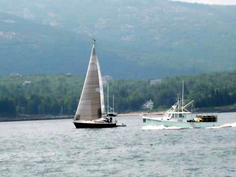 Pleasure sailors and lobstermen share the seas
