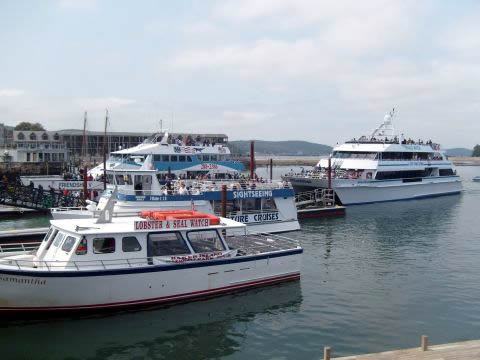 Lots of differnet tour boats. Take your choice of tour.
