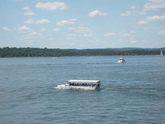 Branson Ducks. Quack!
2 duck tours to choose from through old and new Branson and Lake Taneycomo or Table Rock Lake. They provide the quackers.
