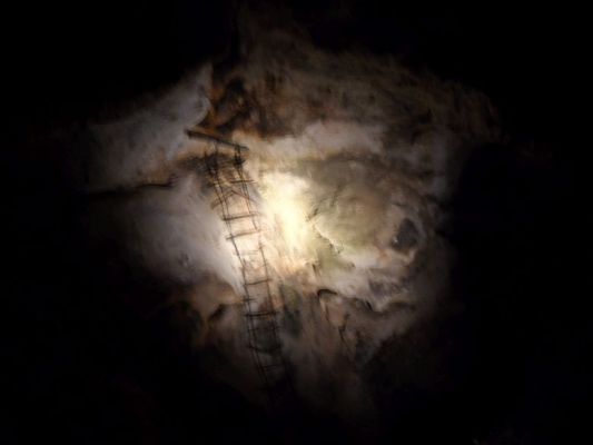 Ladder left from original exploration
