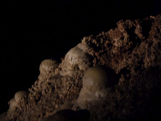 CarlsbadCaverns2018_049.jpg