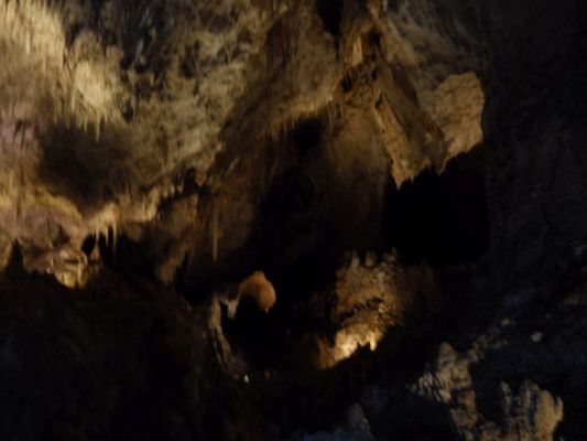 CarlsbadCaverns2018_122.jpg