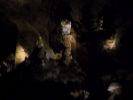 Filename=CarlsbadCaverns2018_082.jpg
Filesize=54KiB
Dimensions=778x583
Date added=Feb 20, 2019 CarlsbadCaverns2018_082.jpg
