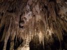 Filename=CarlsbadCaverns2018_089.jpg
Filesize=107KiB
Dimensions=778x583
Date added=Feb 20, 2019 CarlsbadCaverns2018_089.jpg