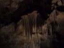 Filename=CarlsbadCaverns2018_108.jpg
Filesize=59KiB
Dimensions=778x583
Date added=Feb 20, 2019 CarlsbadCaverns2018_108.jpg