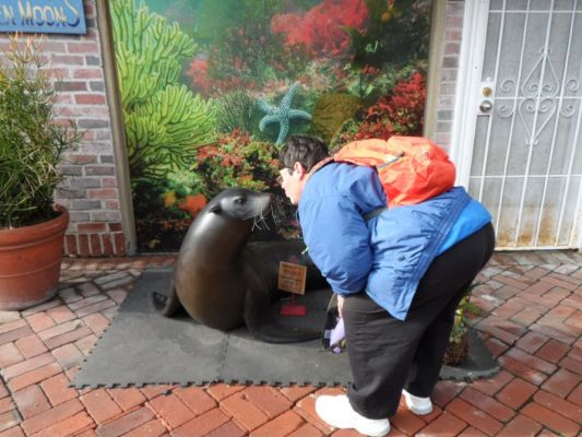 Kissing a Catalina seal
