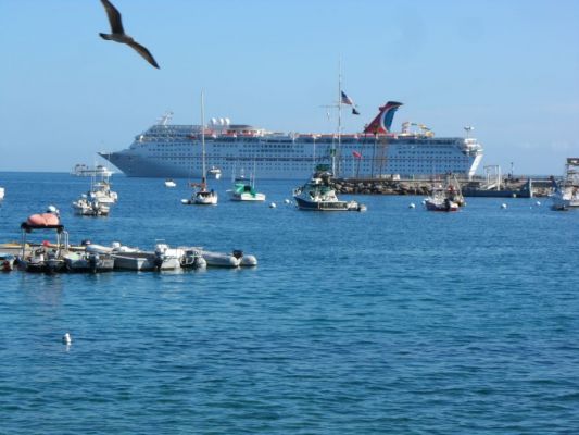 catalina-ensenada009.jpg