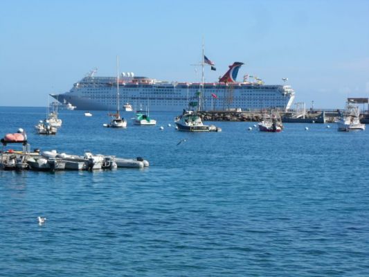 catalina-ensenada010.jpg