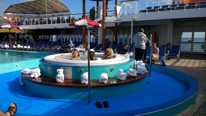 Towel animal invasion
