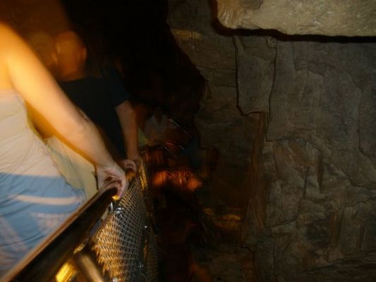 Mammoth Cave New Entrance tour
This tour takes you down about 260 feet on scaffolding through very tight spaces with excellent views. No purses or bags of any kind allowed including camera bags. You may take a clear bottle of water.
