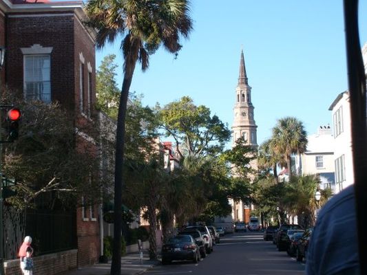 Lots and lots of palmeto trees. 
