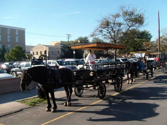 The carriage tours
There are also bus tours which actually show you much more of Charleston but the buses are enclosed so you can't really take pictures on them. Shutterbugs should go with the carriages.
