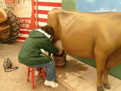 Cow milking 
Yep, had to do it. Did very well too.
