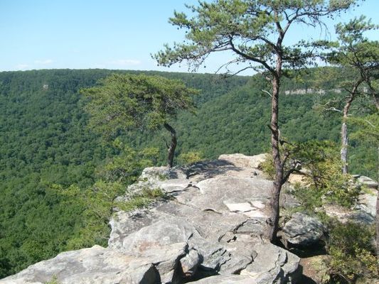 Crossville039.jpg