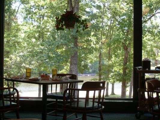 View from my table in Cumberland State Park restaurant
Great buffet with glass walls all around for a lovely view of the park. Good price too.
