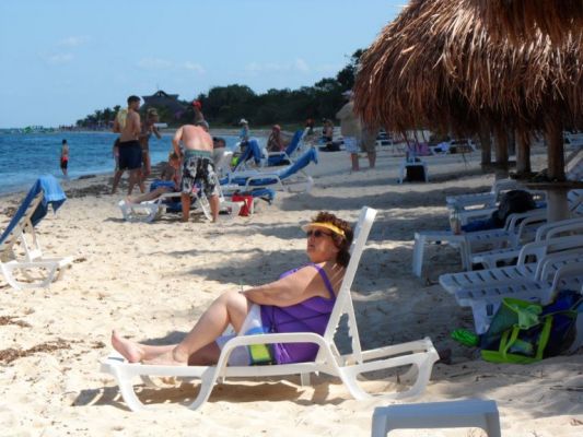 What librarians do on vacation.
