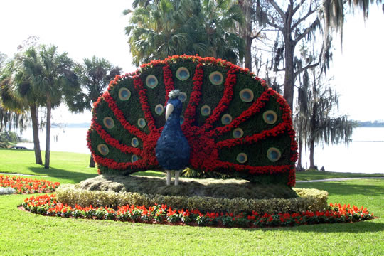 S7300169.JPG