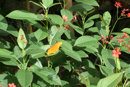 S7300182.JPG