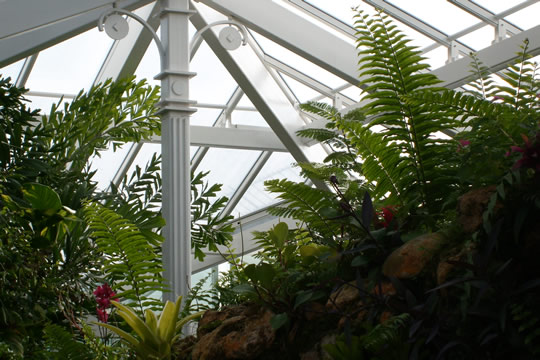 The Butterfly House
