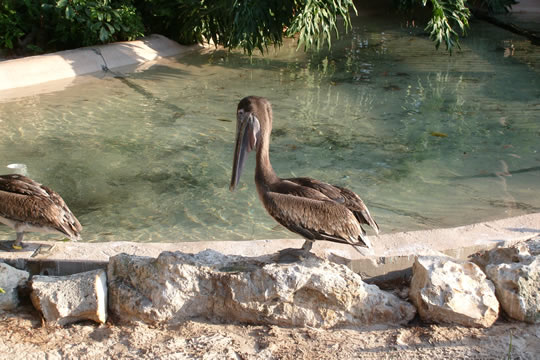 S7300193.JPG