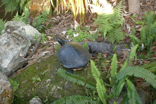 S7300198.JPG