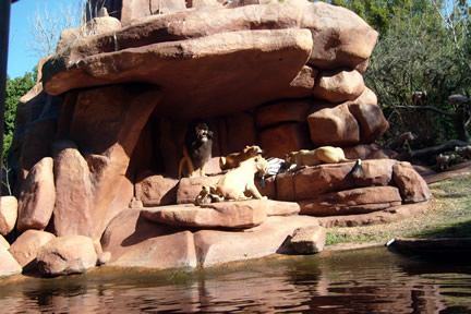 Watch out for lions on the jungle cruise
