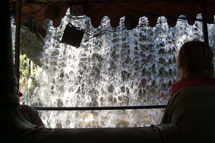 Cruising under the waterfall on the Jungle Cruise
