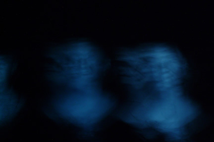 Ghosts in the Mansion
