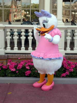 Daisy Duck
