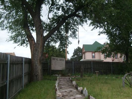 Hanging and planting in one place
