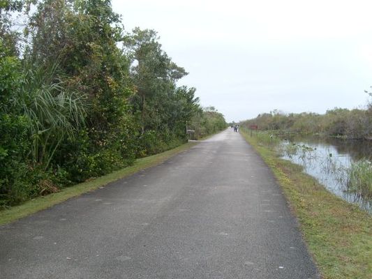 Northern Everglades tour, hiking, or bicycle road near Big Cypress National Park
