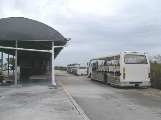 Tours at Shark Valley
