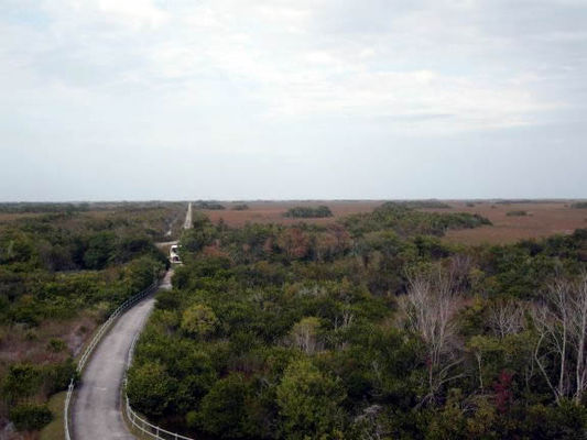 Everglades031.jpg