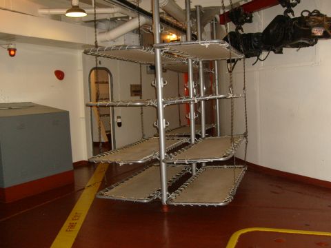 How about 8 bunk mates?
