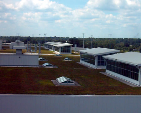 Skylights
These skylights provide a lot of natural light to the work floor to create a better environment for workers and save on electricity for lighting.
