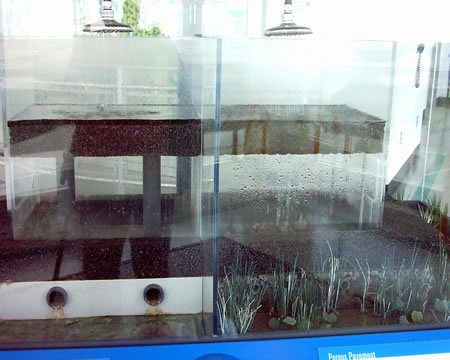 The porous pavement
This exhibit demonstrates how porous pavement allows water through for drier parking lots while also cleaning the water through gravel and sand before it drains into the river.
