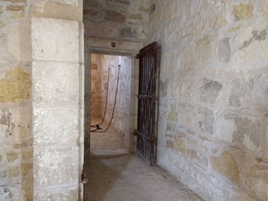 Cells. Don't make trouble!
